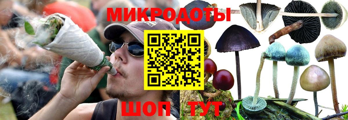 Городец  Псилоцибиновые грибы прущие грибы  Вход с VPN 