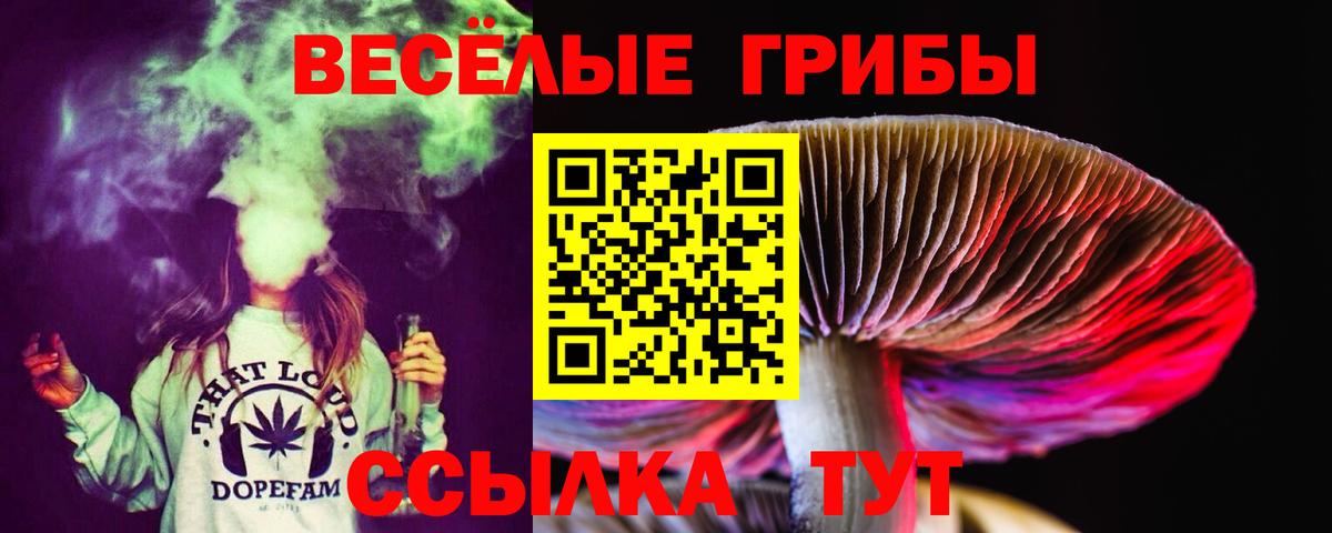Галлюциногенные грибы Magic Shrooms Городец